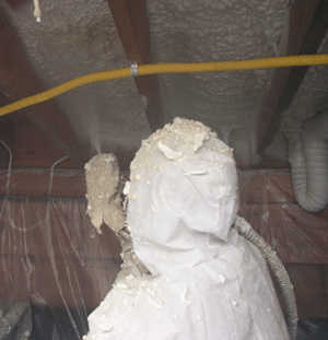 Elmonte CA crawl space insulation