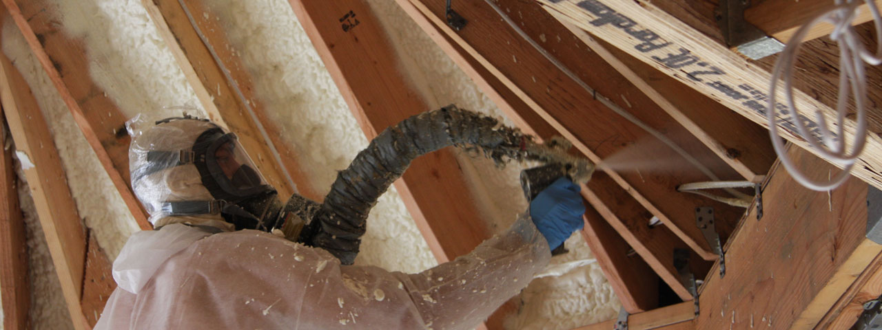 Elmonte California Attic Insulation Spray Foam